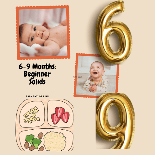 6-9 Months Beginner Solids